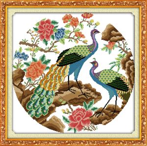 2つの孔雀の鳥の花の装飾絵画、手作りクロスステッチクラフトツール刺繍針仕事セットカンバスDMC 14ct / 11ct