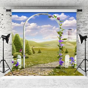 arch door grass outlet Vinyl portrait photography background for wedding child baby shower portrait backdrop photo studio photocall