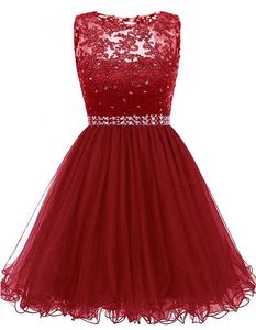 2019 Lace Beaded Short Prom Homecoming Dress A Line Tulle Beaded Sequined Appliques Graduation Cocktail Party Gown Real Picture QC1357
