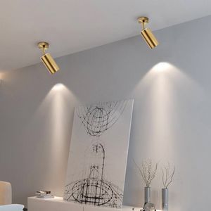 Spotlight Nordic Golden Surface Mounted Houster Ceiling Downlight Wall Clothroom Clothing Shop Commercial LED Track Light