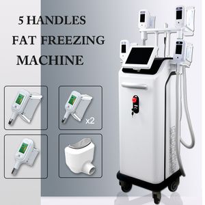 FDA Onaylı Kriyoterapi Soğutma Makinesi Donduru Yağ Kriyoterapi Liposuction Masaj Vücut Zayıflama Makineleri 360 ° Kriyo Çift Çene Çıkarma