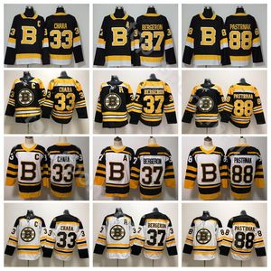 2019 Derde alternatieve ijshockey Boston Bruins David Pastrnak Jersey Zdeno Chara Patrice Bergeron Winter Classic Black White