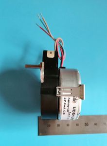 SAIA Synchronmotor mit reduzierter Drehzahl, UDS1UR6M50CANCZ250 unidirektional rotierender Motor, AC 110 V/220 V Doppelspannungsmotor