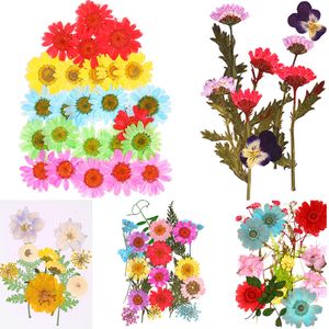 Popularny Zachowany Kwiat Gorąca Sprzedaż Mini Suszone Kwiaty Wysokiej Jakości Mała Dekoracja Domowa Pressured Kwiaty DIY 25 sztuk / torba