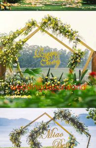 new style canopy round shape gold mental Pipes,wedding stage decoration wedding backdrop decor0644