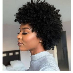 charmig ny frisyr mjukt indiskt hår afro afrikansk amerikan kort kinky lockig simulering mänskligt hår lockigt naturlig peruk för kvinnor