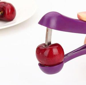 Easy Cherry Fruit Cores Seed Remover Nuclear Tools Gadgets Red Jujube Pitter Cores Tools Kitchen utensil In Paper Card Pack