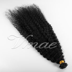 VMAE Mongolian Hair 1g/strand 100g 10 ~ 26 인치 더블 그려진 3c I 팁 프리 결합 인간 머리 확장