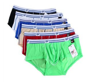 Moda erkek iç çamaşırı Seksi Boxer Şort adam Slim Fit pijamalar toptan mens