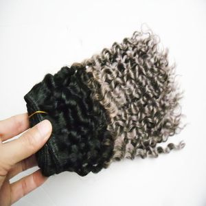 100％ブラジル人の人間の髪の変態なカーリーウェーブバンドルバージンヘア8-30インチオンブルカラーブラジルの髪織り束