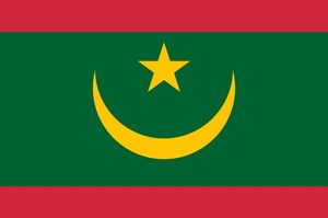 A República Islâmica do Bandeira de Mauritânia 90x150cm 3x5 ft poliéster Impressão New Arrival País Bandeira Nacional Bandeira suspensão vôo