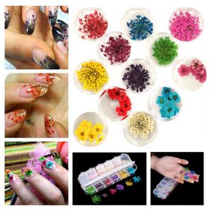 3D Nail Art Dried Flowers Sticker Natural Real Preserved Floral Stickers Manicure Decals DIY Tips Polish Decorations 12PCS