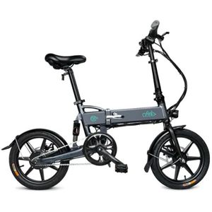 FIIDO D2 Folding Moped Electric Bike E-bike with 16 inch inflatable rubber tire for different grounds