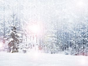 Winte Snowfall森林の木のビニールの写真の背景霜フォトフォトブース背景クリスマスパーティースタジオの小道具