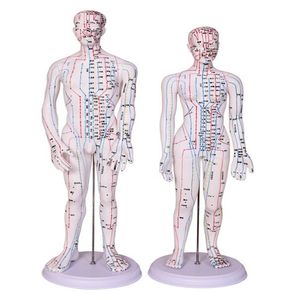 2style 50cm Male Mannequin Lettering Acupuncture Point Body Acupuncture Medical Research Massage Reflex Teaching Model C518