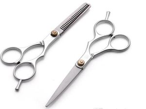 Silver Barber Scissor Cutting Shears Thinning Scissors Professional Hairdressing Scissors Hair Scissors Fast Shipping