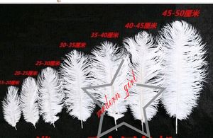 ロットあたり200 PCS 20-25cmホワイトダチョウの羽毛プルームクラフト用品ウェディングパーティーテーブルセンターピース装飾284n