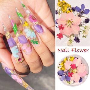 Decoraciones de arte de uñas Flores secas mixtas Joyas Natural Floral Hoja Pegatinas Diseños D Polaco para Manicure Accessories