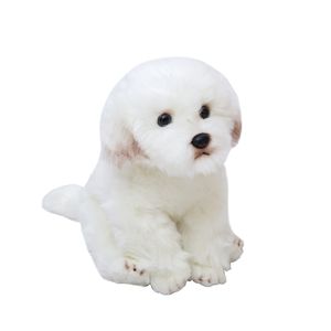 Quality Lovely Soft Animal Maltese Dog Plush Doll Mini Cuddly Animals Dog Pet Decoration Gift 28x20x26cm DY50057