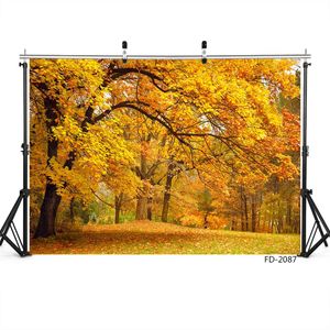 Осенние золотые листья дерева фотографии фона фон портрет для фотосессии 7x5ft виниловые ткани фон для фотостудия