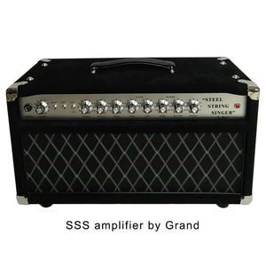 Profesjonalna rura gitara głowica wzmacniacza 100W AMP Tone SSS Stringa Singer Valve Handbired Wzmacniacz Dostosuj płytę czołową