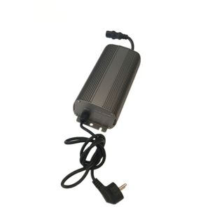 Freeshipping Lighting Tillbehör Hydroponic EU-kontakt 250W Lampa Metal Inomhus Trädgård Digitala Ballast Elektroniska HPS MH Grow Lights Ballasts