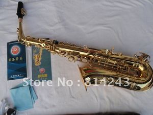 Nuovo arrivo Xinghai SAX-100 Alto Mib Tune Studenti Sassofono E Flat Ottone Lacca dorata Strumento musicale Sassofono Spedizione gratuita con custodia