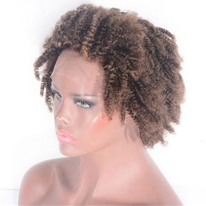 Kinky Curly Lace Front Human Hair Wigs African American 4# Colored 12 inch Brazilian Remy Hair Wig