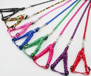 Newest 1.5*120cm Dog Harness Leashes Nylon Printed Adjustable Pet Dog Collar Puppy Cat Animals Accessories Pet Necklace Rope Tie Collar