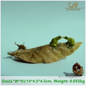 Everyday Collection Micro Mini Animals Garden Miniature Figurines Frog On Leaf Animal Action Figure Toys Ornament Accessories C19041501