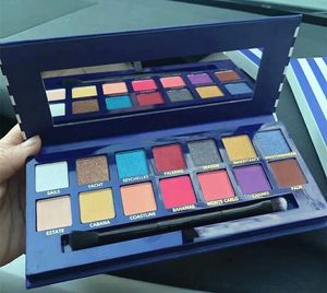 Os mais recentes Makeup Palette Hot Marca 14colors Paleta de Sombra brilho Matéria cores transporte DHL alta qualidade