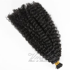 Brazilian Burmese Natural Color Afro Kinky Curly 4B 4C 3B 3C Pre Bonded Keratin Fusion Jag Tips Raw Remy Virgin Human Hair Extensions