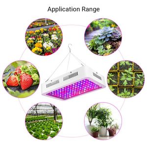 Neuestes LED-Pflanzenwachstumslicht, 1000 W, 1200 W, 1500 W, 2000 W, Vollspektrum-Pflanzenlicht, mit verstellbarem Seil, für Zimmerpflanzen, Gemüse und Blumen