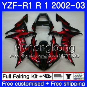 Bodys For YAMAHA YZF-1000 YZF R 1 YZF R1 2002 2003 Bodywork hot sale Red flame 237HM.45 YZF 1000 YZF-R1 02 YZF1000 Frame YZFR1 02 03 Fairing