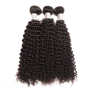 Malaysiska jungfruliga hår naturliga färg kinky lockiga mänskliga hårförlängningar 8-28 tum tre buntar hårprodukter lockigt 8-28 tum dubbla wefts