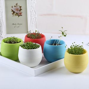 Mini Round Plast Plant Växtblomma Krukor Färgrik Hem Office Planters Dekorativa Krukor Till Sovrum Vardagsrum LX1061