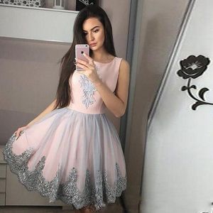 2020 New Arrival Short Mini Homecoming Dresses Jewel Neck Lace Appliques Sleeveless A Line Gray Tulle Plus Size Party Dress Cocktail Gowns