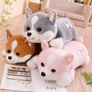 60 cm Słodkie Corgi Pies Pluszowe Zabawki Nadziewane Miękkie Zwierząt Shiba Inu Chai Pillow Cartoon Christmas Gift Dla Dzieci Dzieci Dziewczyny La211