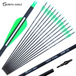 New Carbon Arrow 28"30"31" Archery Arrows Spine500 Changeable Arrowheads Plastic Feathers for Hunting Compound Bow Arrows