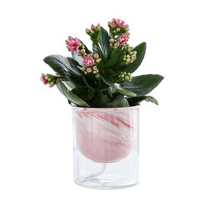 Marble Look Lazy Flowerpot Home Office Tabletop Self Watering Planter Ceramic Glass Combination Flower Pot for Succulent Herb