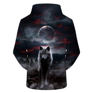 2020 mode 3d print hoodies sweatshirt casual pullover unisex höst vinter streetwear utomhus slitage kvinnor män hoodies 10902