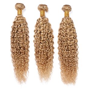 Kinky Curly # 27 Honey Blonde Human Hair Weave Bundlar Jordgubb Blond Malaysiskt lockigt Mänskligt Hår 3 Bundlar Ljus Brun Virgin Hair Wefts