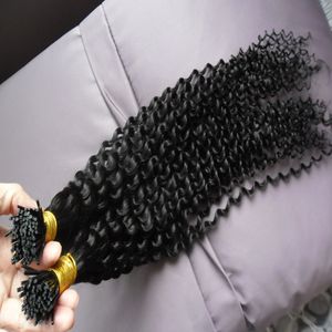 Kinky Curly Virgin Brazylijski Human Hair Extensions 100s Pre Bonded Stick I Tip Extensions Włoski Keratyna I Wskazówka Rozszerzenia włosów