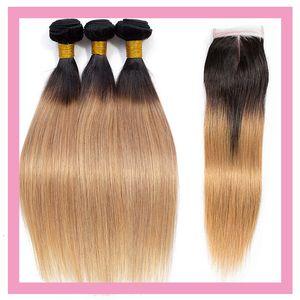 Malaysian Human Hair Extensions 1B/27 Ombre Virgin Hair Bundles With 4X4 Lace Closure Straight 1B 27 Wholesale