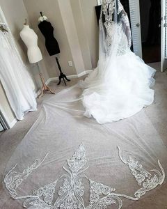 3m Long Wedding Veils Cathedral Length Bridal Veil Luxury Lace Edge Appliqued 1T White Ivory Veils With Free Comb