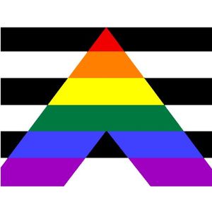 Изготовленный на заказ прямой союзник флаг 3X5FT ЛГБТ гей флаг баннер гордость 90x150cm полет висит полиэстер крытый открытый деятельность партии украшения использовать