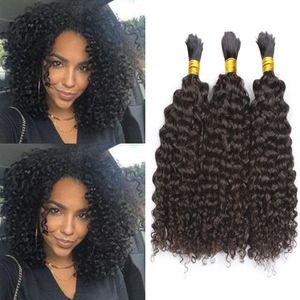 Afro Curly Human Hair Bulks No Weft Brazilian Kinky Curly Hair Bulk for Braiding No Attachment
