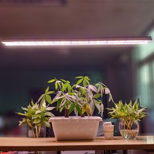 Wholesale t5 led grow lights for sale - Group buy Double Tube T5 HO LED Grow Lights FT FT FT Full Spectrum UV Sunlight Pink White Color T5 Integrated Grow Fixture with Rope Hanger