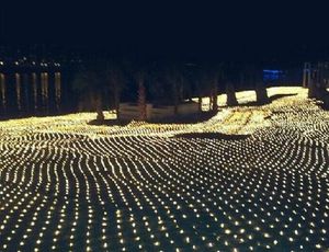1.5x1.5m 2x2m 3x2m 6x4m LED net örgü peri ip ışıkları çelenk pencere perdesi Noel ışığı düğün partisi dekorasyon