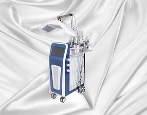 9 IN1 Oxygen Jet Skin Care System Vertikal Jet Peel Water Oxygen Terapi Ansiktsmaskin Hydra Dermabrasion Maskin för hud